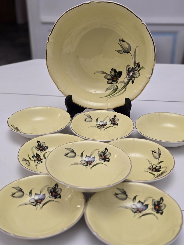 Service à salade de fruits Ceranord Saint Amand 