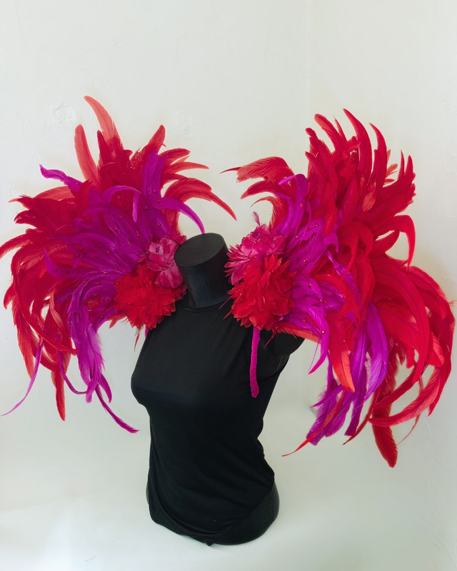 Costeiro Cleonina Samba Passion