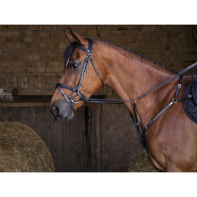 COLLIER DE CHASSE ERIC THOMAS HYBRID