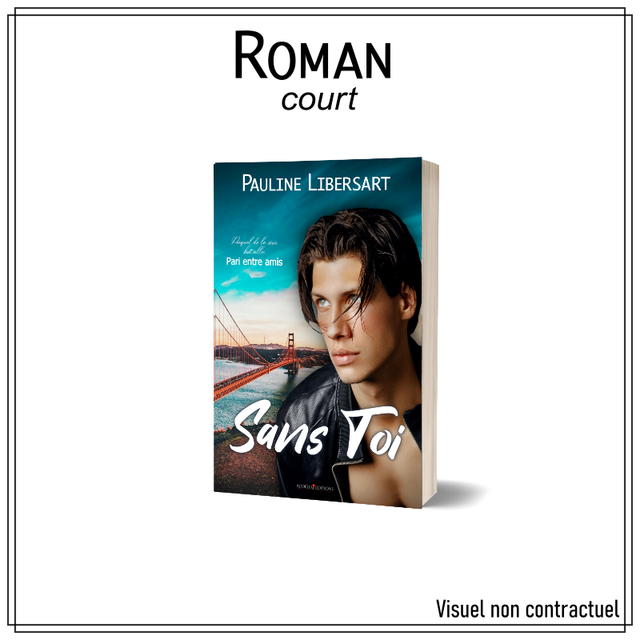 Pari entre amis - Sans toi ( # 0.5 )