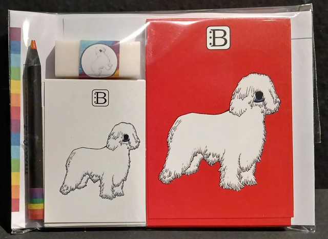 Leggi &amp; Colora - Kit Scrittura - Amici della Città - Cane