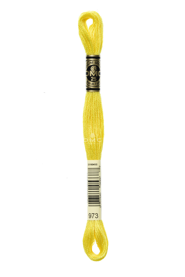 N°973 Mouliné Spécial DMC