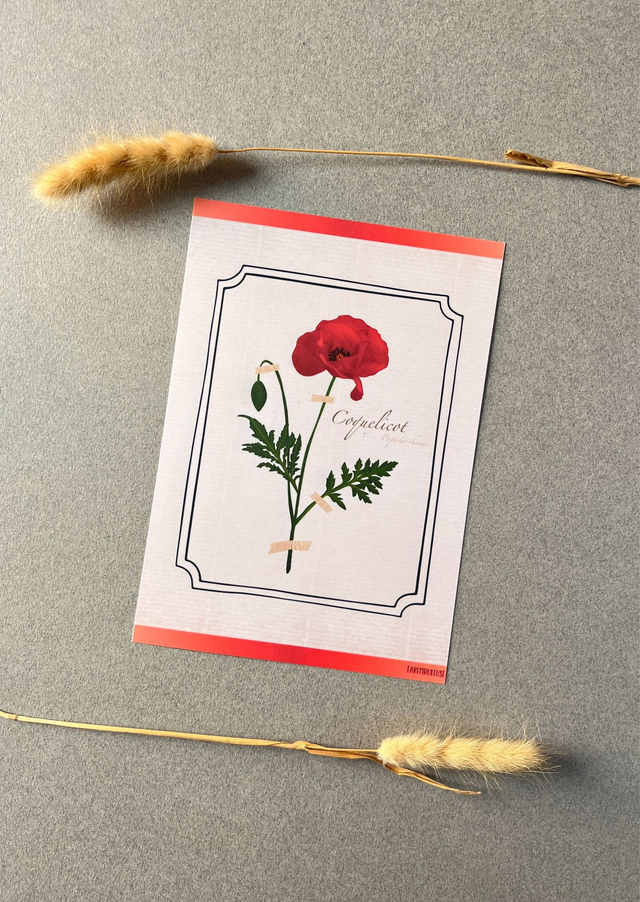 Affiche 08. Le Coquelicot (août)