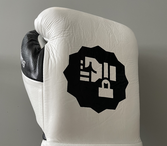 DIAGORAS CONTEST BOXING GLOVES
