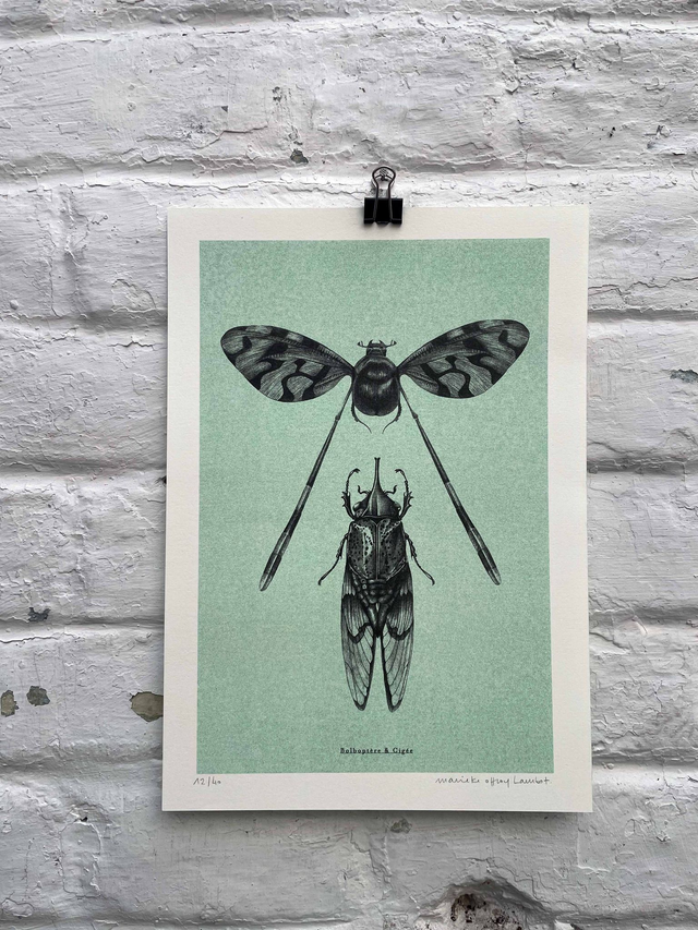 Insectes Hybrides — Riso 2 couleur A4