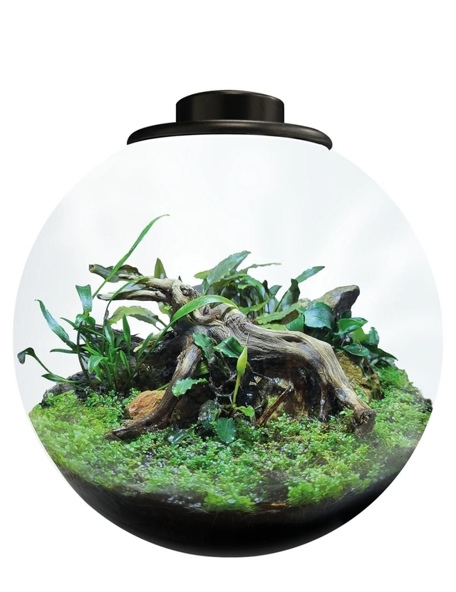 Bio art bowl 225 zwart 8715897349485