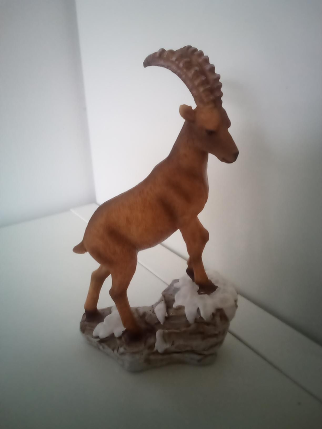 Animaux 