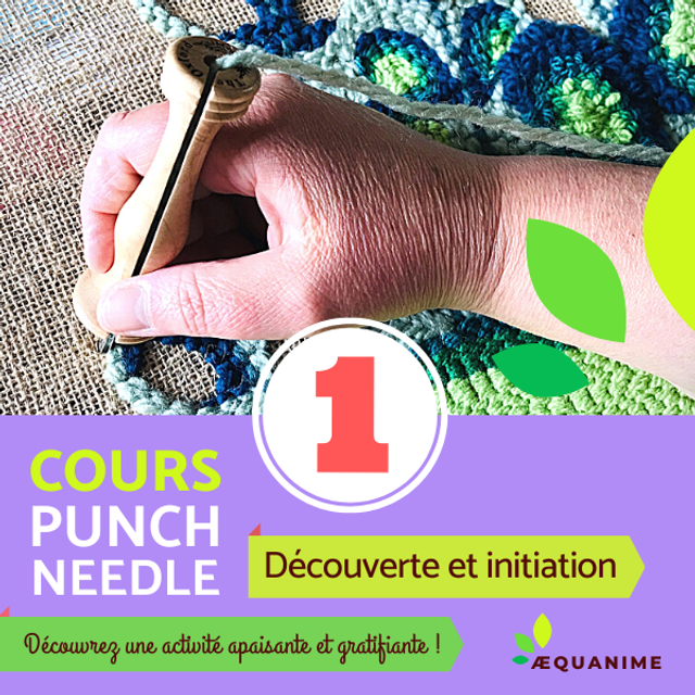  Cours Punch needle N°1  : découverte et initiation
