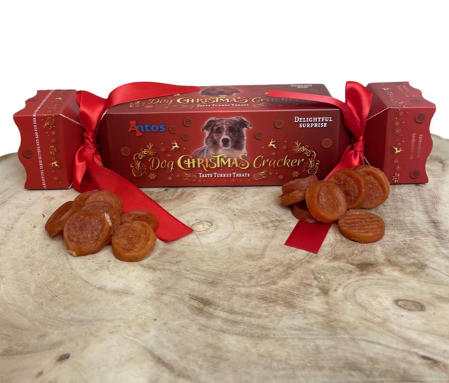 Turkey Christmas Cracker