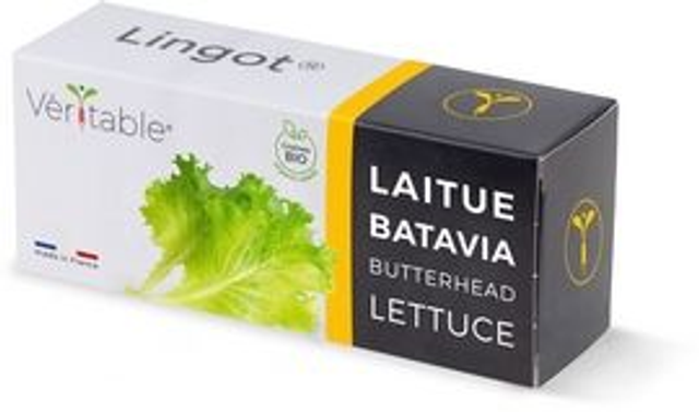 Véritable Lingot Butterhead Lettuce - Organic