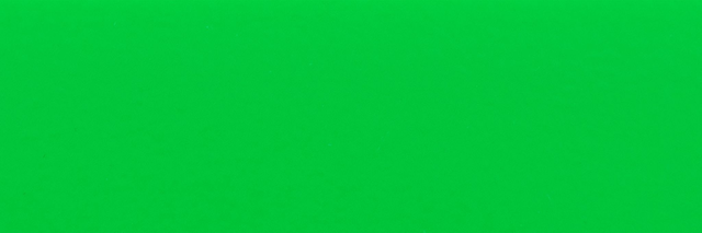 Biothane Schleppleine rund 6 mm Farbe Grün