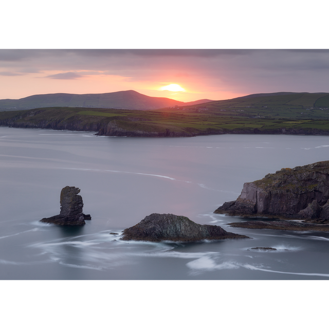 Bull&#039;s Head - An Searrach - Cinn Aird - Kinard