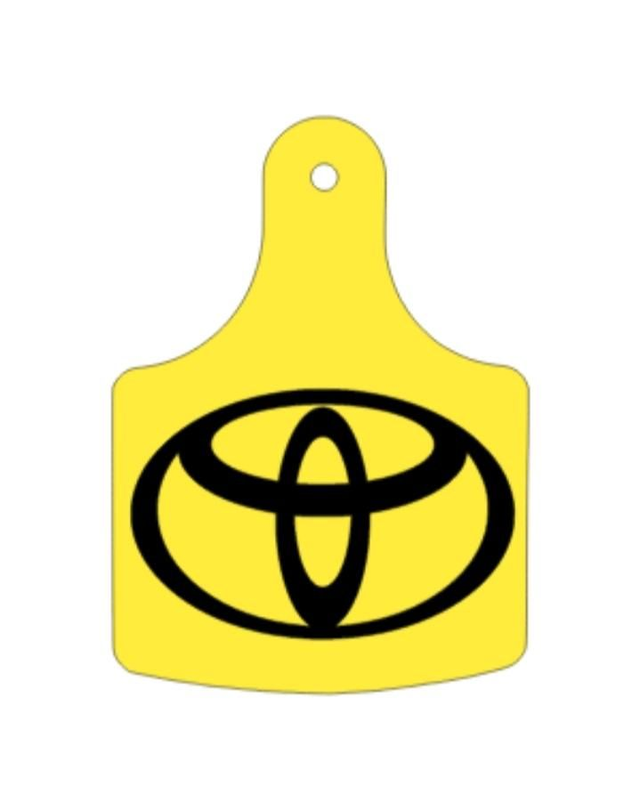Toyota key ting