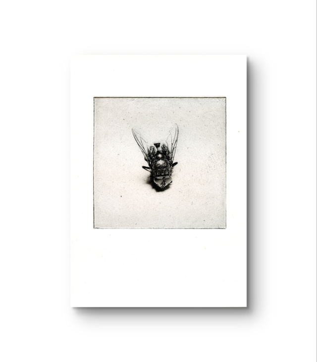 Flies "Me in my own world "  handprint photogravure A6  