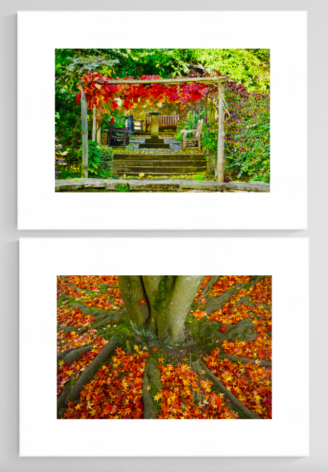 Autumn Leaves - Print