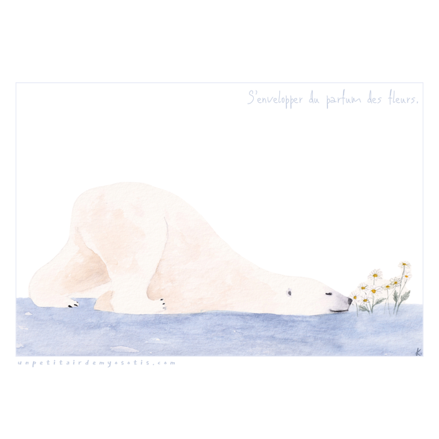 Carte poème Ours polaire sentant des marguerites