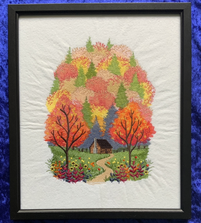 Autumn in the forest