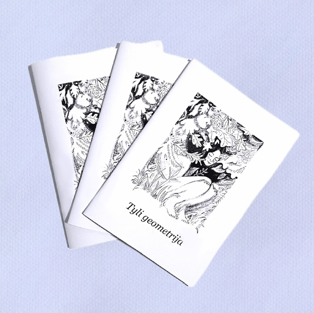 Knyga „Tyli Geometrija”
