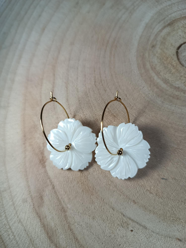 Boucles d'oreilles 