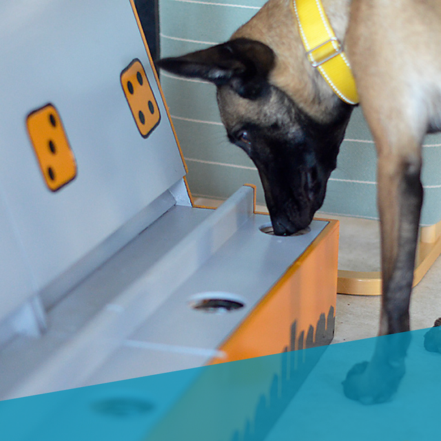 Nenäseminaari, 1 workshop