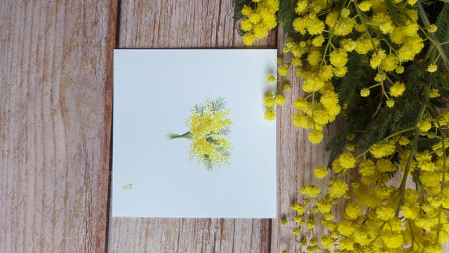 Bouquet de mimosa petit