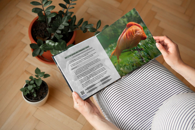 Livre + CD album EchØ