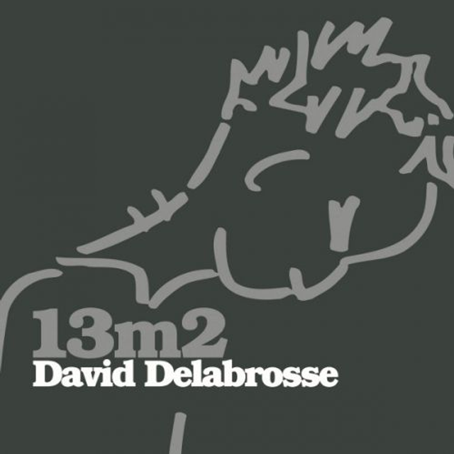 13 m2 - David Delabrosse