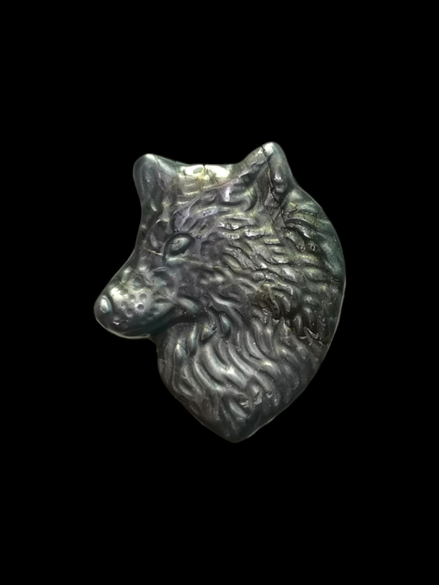 Loup labradorite 