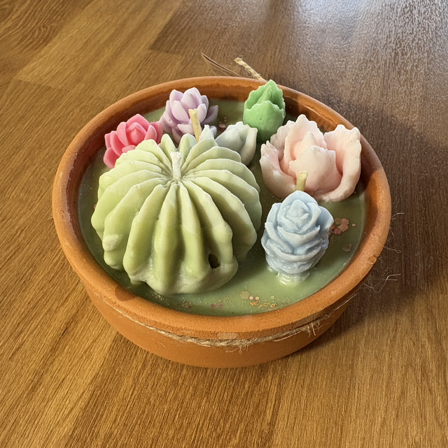 Cactus coco citron vert - 255gr