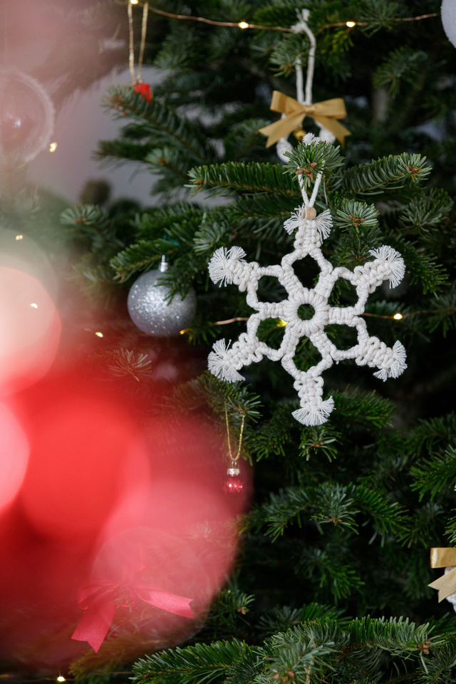 SNOW ~ Décoration de Noël