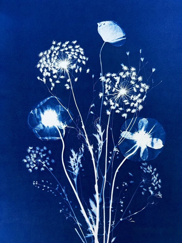 &quot;Souffle d&#039;été&quot; Cyanotype original