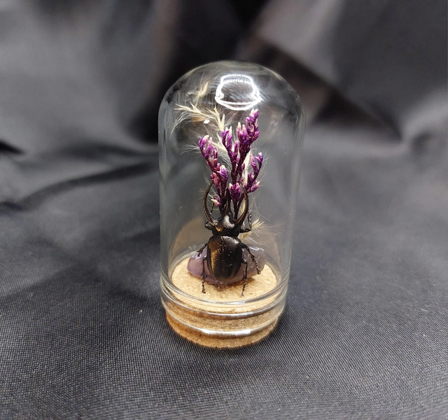 Mini-cloche scarabée violet