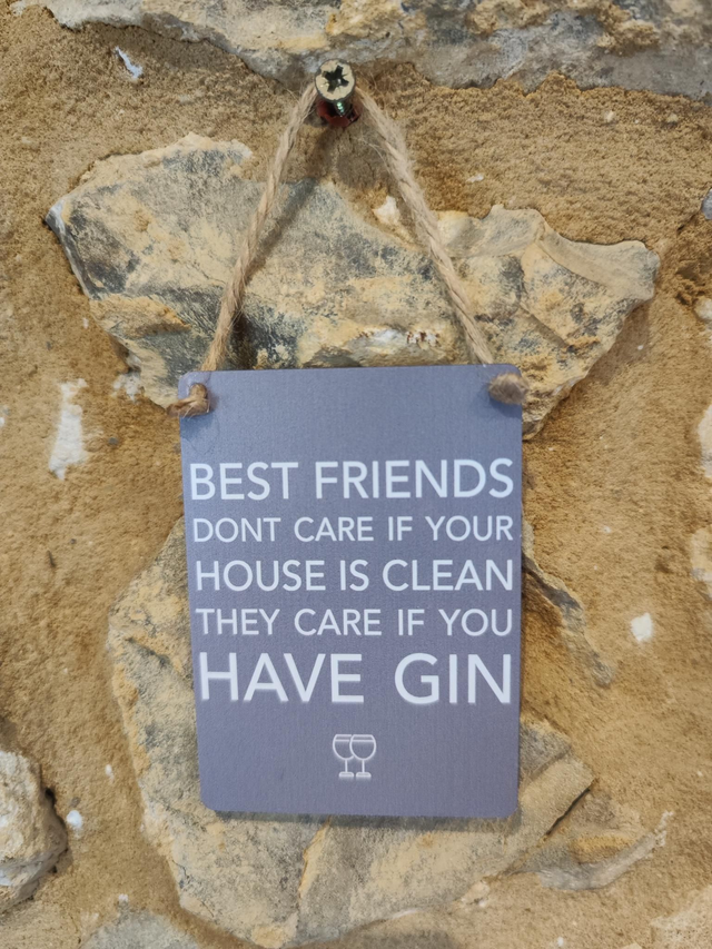Best Friends Have Gin