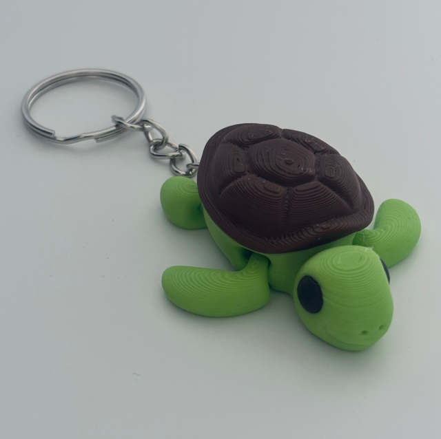 Schildkröte