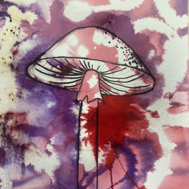 Funghi in brusho inks - class video 