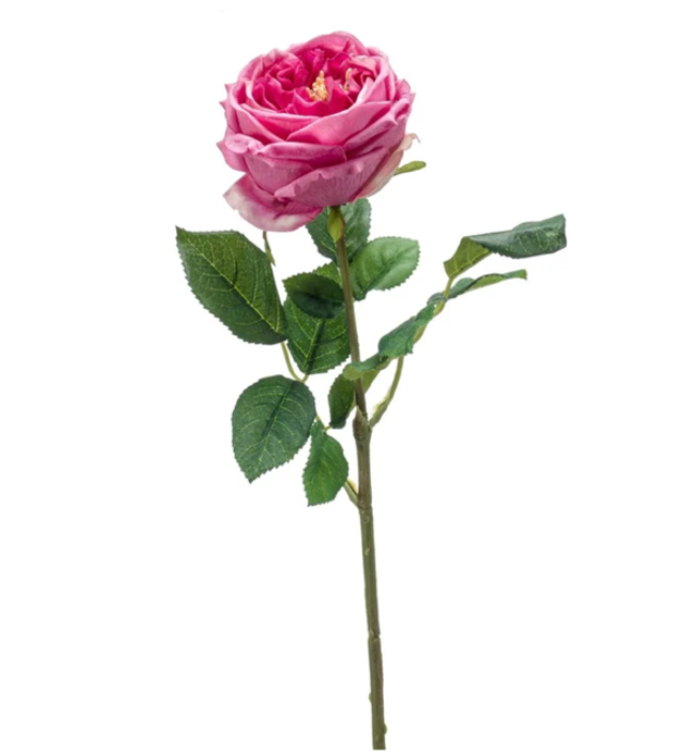 Rose jenny spray beauty Real Touch 