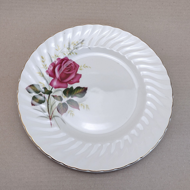 Ridgway Ironstone | Dinerbord Plat bord (diameter 25 | hoogte 2,5 cm) Geschulpt ‘Anniversary Rose’ | Vintage - Onvolkomenheid