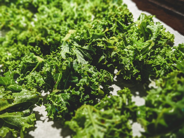 Salade Verte