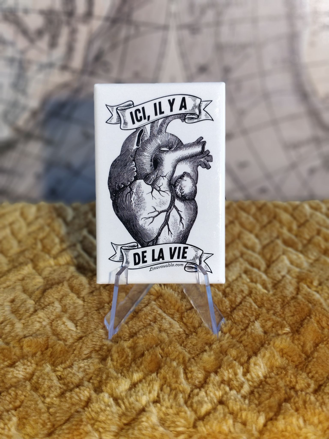 MAGNET "ICI IL Y A DE LA VIE"
