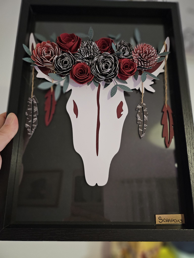 Cadre crâne de vache