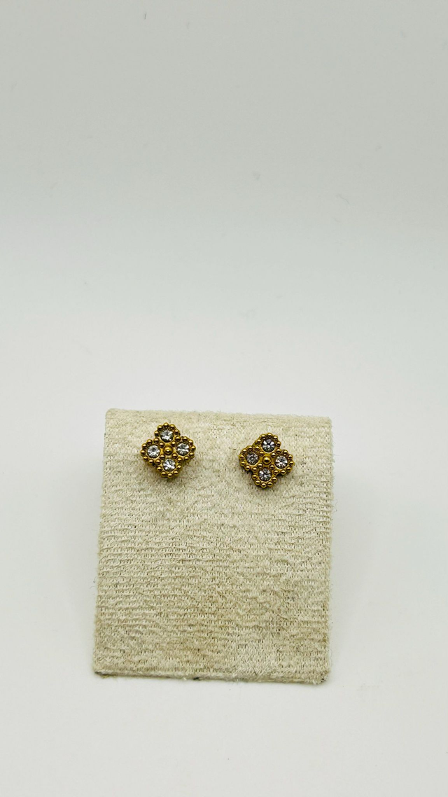 Stainless Steel Earrings (SSE95J)