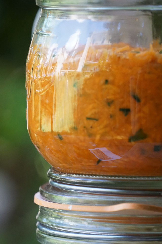 Légumes Lacto-Fermentés Carotte & Ciboulette 400g