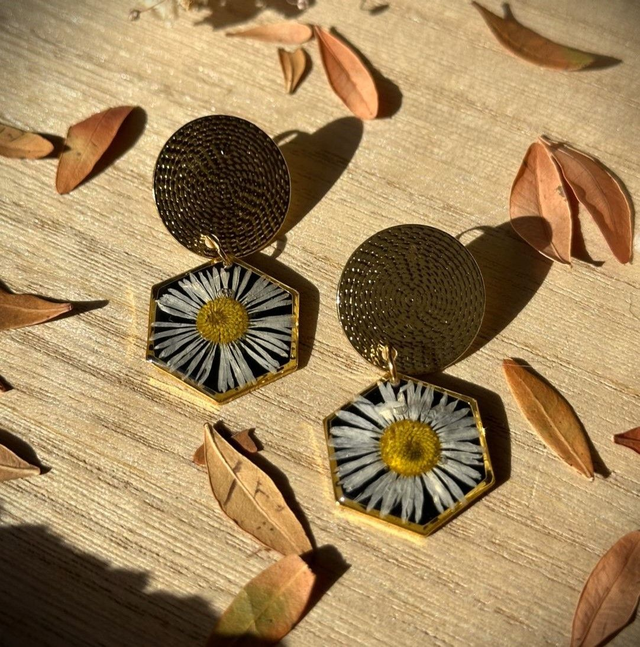 Louisa - Marguerite mystérieuse