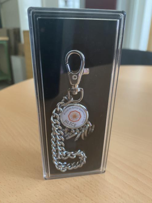 ALICE Keychain