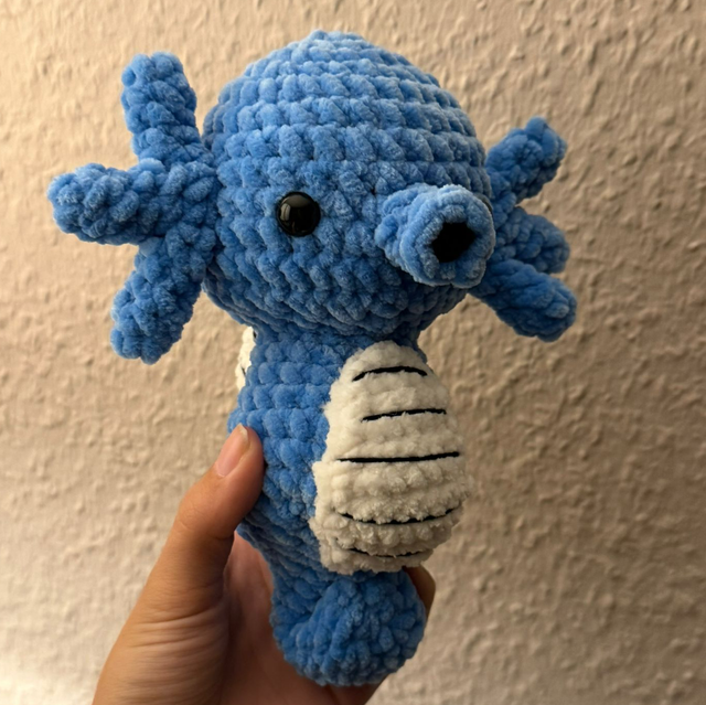 Seepferdchen 