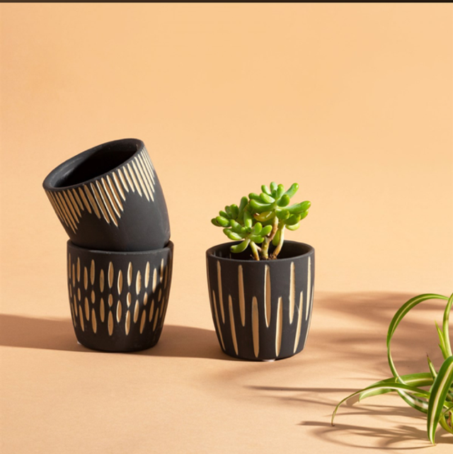 Sass and Belle black sgraffito mini planters 
