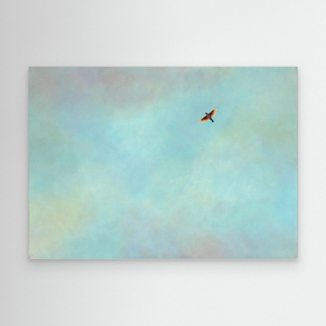 The Lark Ascending - (Lark)