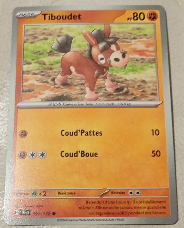 Carte pokémon Tiboudet 