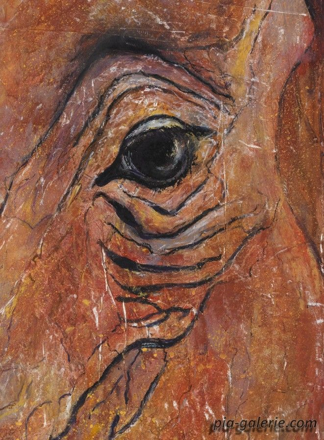 Céros - Digigraphie