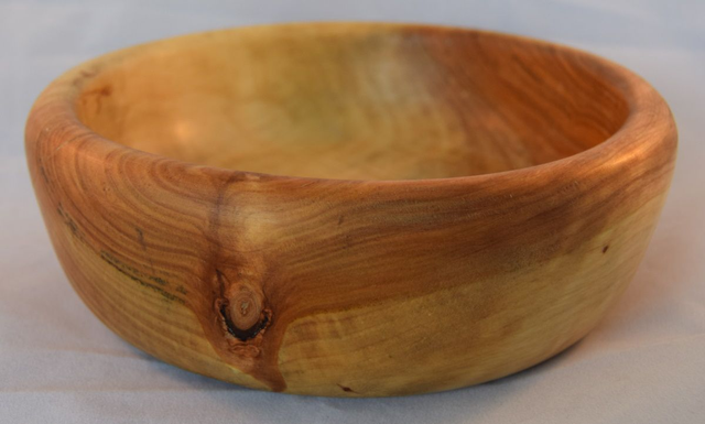 schaal - witte populier